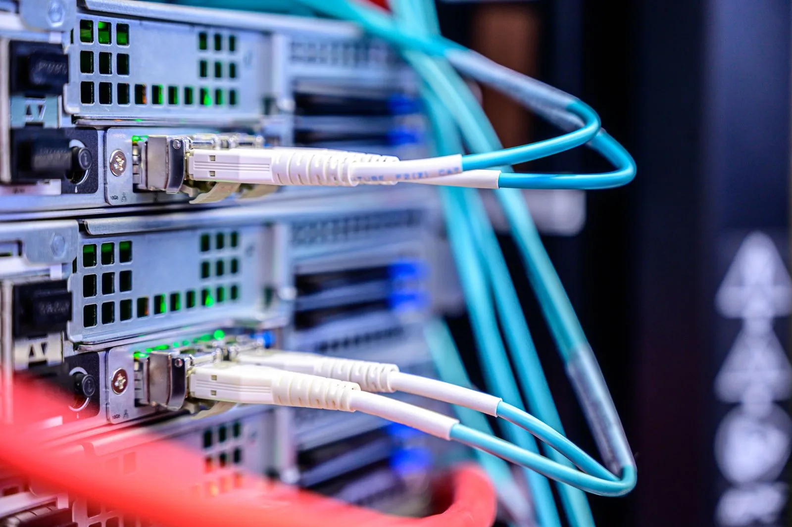 Close-up of network cables connected to server ports, representing data migration infrastructure